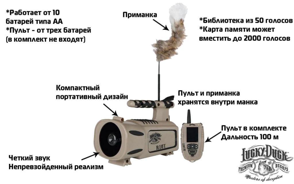 21-20018-6(3)