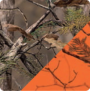 Extreme Lite Blaze 3D