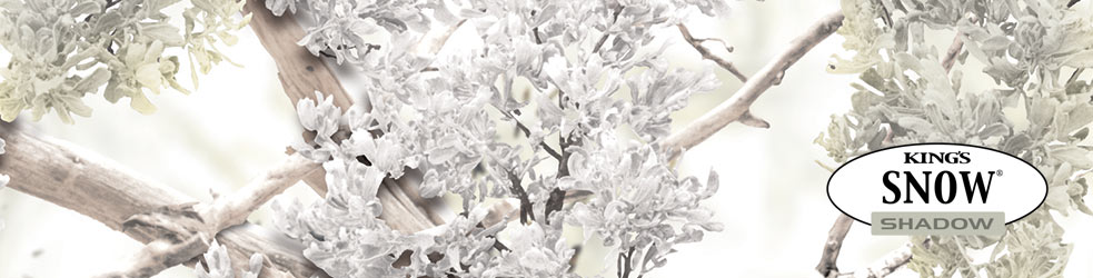 King’s Snow Shadow Camo