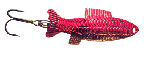 Thomas Fighting Fish