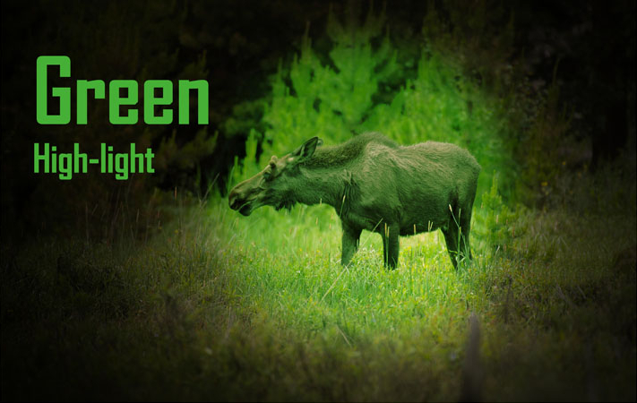 20190730192212-90291