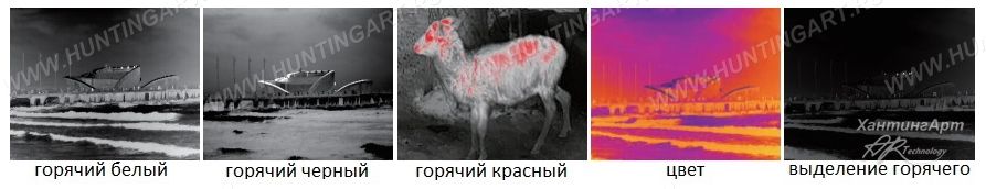 E2n_10