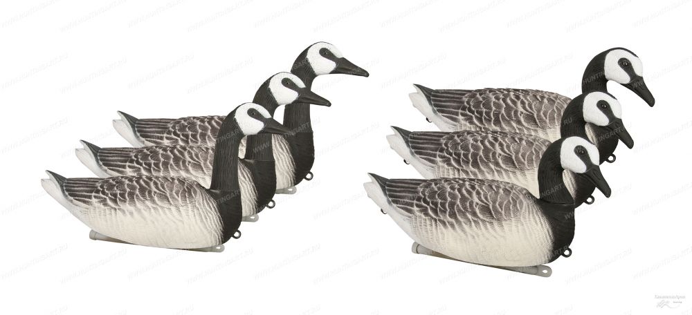 North Way FKS-3D (2)