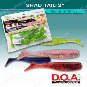 C.A.L. Shad_thm