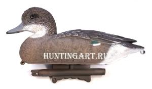Картинка Чучело Sport Plast Европейская свиязь утка от интернет-магазина ХантингАрт Чучело Sport Plast Европейская свиязь утка купить в интернет-магазине ХантингАрт