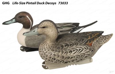 Комплект из 6 шт муляжей утки Шилохвость GHG Life-Size Pintail Duck Decoys (4 селезня и 2 утки)