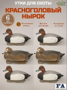 Набор чучел красноголового нырка FA Brand, 6 шт (4 селезня/2 утки) купить в интернет-магазине ХантингАрт