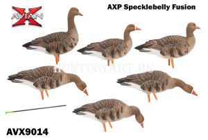 Картинка Комплект Avian-X из 6 полноразмерных чучел белолобого гуся с сумкой от интернет-магазина ХантингАрт Комплект Avian-X из 6 полноразмерных чучел белолобого гуся с сумкой купить в интернет-магазине ХантингАрт