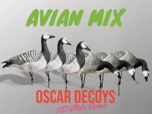 Картинка Казарка гусь Avian-Mix Elite 3D, комплект 6шт от интернет-магазина ХантингАрт Казарка гусь Avian-Mix Elite 3D, комплект 6шт купить в интернет-магазине ХантингАрт
