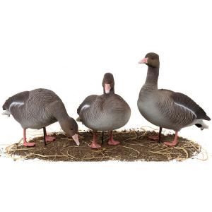 Картинка Чучела Серого гуся North Way Softplast Альфа, 6 штук (3 кормящихся,1 сторож,2 отдыхающих) от интернет-магазина ХантингАрт Чучела Серого гуся North Way Softplast Альфа, 6 штук (3 кормящихся,1 сторож,2 отдыхающих) купить в интернет-магазине ХантингАрт