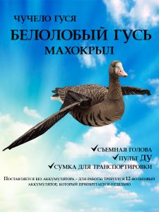 Белолобый гусь махокрыл, съемная голова купить в интернет-магазине ХантингАрт