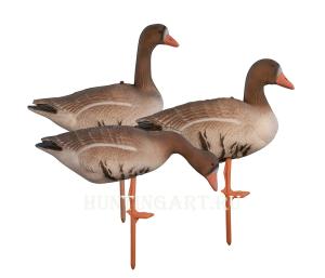 Картинка Комплект Birdland из 12 шт складных Белолобых чучел на опоре-стойке от интернет-магазина ХантингАрт Комплект Birdland из 12 шт складных Белолобых чучел на опоре-стойке купить в интернет-магазине ХантингАрт