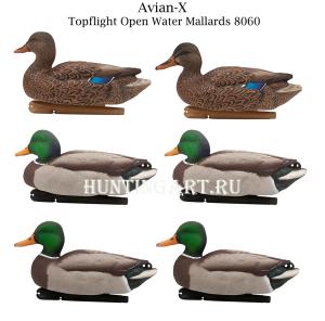 Комплект Avian-X Topflight Open Water Mallards из 6 кормящихся чучел кряквы купить в интернет-магазине ХантингАрт