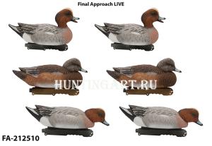 Комплект Евразийская свиязь Final Approach LIVE увеличенного размера, 6 шт (4 селезня, 2 утки) купить в интернет-магазине ХантингАрт