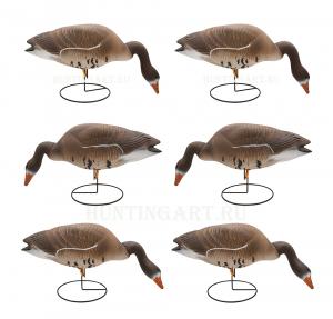 Чучела белолобого гуся Flambeau Stormfront™ (кормящиеся) комплект из 6 шт - купить в Санкт-Петербурге