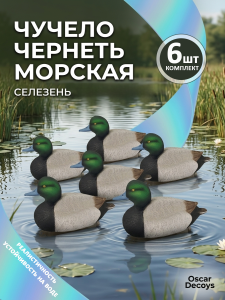 Чучело чернеть морская (селезень), комплект 6шт купить в интернет-магазине ХантингАрт