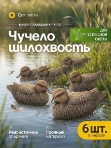 Чучело шилохвость (утка), комплект 6шт купить в интернет-магазине ХантингАрт