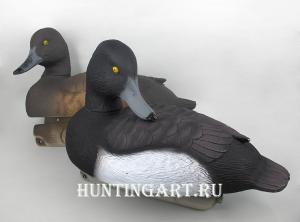 Комплект чучел 62 Breite - Чернеть хохлатая: 1шт (селезень), 1шт (утка) - комплект 2шт купить в интернет-магазине ХантингАрт