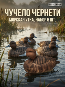 Чучело чернеть морская (утка), комплект 6шт купить в интернет-магазине ХантингАрт