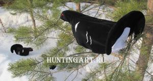 Чучела тетерева купить в интернет-магазине ХантингАрт