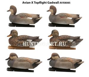 Комплект Avian-X Topflight Gadwall из 6 чучел серой утки (4 селезня/2 утка) купить в интернет-магазине ХантингАрт