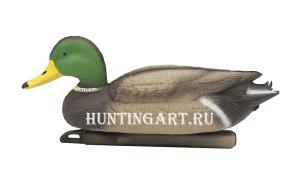 Картинка Чучело кряквы плавающей, селезень, Birdland от интернет-магазина ХантингАрт Чучело кряквы плавающей, селезень, Birdland купить в интернет-магазине ХантингАрт