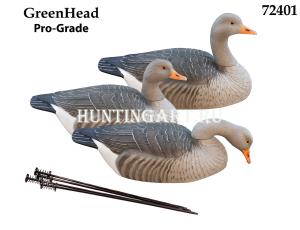 Картинка Комплект из 12 полукорпусных муляжей Серого гуся GreenHead от интернет-магазина ХантингАрт Комплект из 12 полукорпусных муляжей Серого гуся GreenHead купить в интернет-магазине ХантингАрт