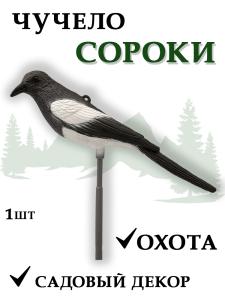 Чучело сороки купить в интернет-магазине ХантингАрт