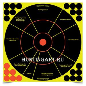 Мишень бумажная Birchwood Casey Handgun Trainer осыпающаяся, восьмидольная, 5 шт купить в интернет-магазине Хантингарт