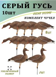 Картинка Чучела серого гуся, комплект 10 шт (8+2) увеличенный размер от интернет-магазина ХантингАрт Чучела серого гуся, комплект 10 шт (8+2) увеличенный размер купить в интернет-магазине ХантингАрт