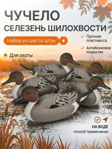 Чучело шилохвость (селезень), комплект 6шт купить в интернет-магазине ХантингАрт