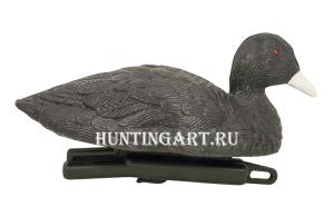 Чучело утки-лысухи плавающей, Birdland купить в интернет-магазине ХантингАрт