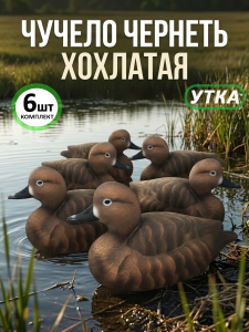 Чучело чернеть хохлатая (утка), комплект 6шт купить в интернет-магазине ХантингАрт