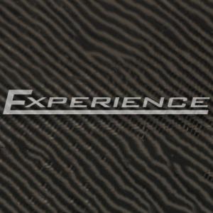 Бланк Norstream Experience EXS-842MH 2022 купить в интернет-магазине ХантингАрт