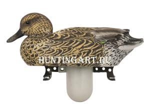 Чучело утки Чирка Eurasian Teal USA купить в интернет-магазине ХантингАрт