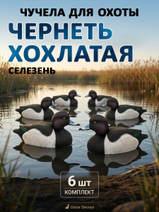 Чучело чернеть хохлатая (селезень), комплект 6шт купить в интернет-магазине ХантингАрт
