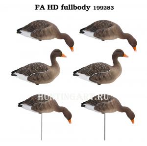 Комплект полнообъемных чучел FA HD fullbody Серого гуся (6 шт.) купить в интернет-магазине ХантингАрт