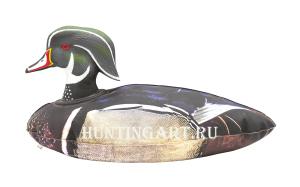 Декоративная Каролинская утка - купить в Санкт-Петербурге