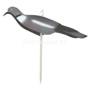 Чучела (скорлупки) лесного голубя купить в интернет-магазине ХантингАрт