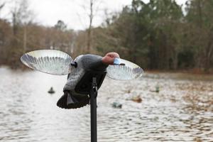 Механическое чучело Красноголового нырка Mojo серия Элит в магазине ХантингАрт