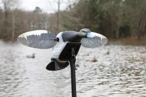 Механическое чучело Чернети Mojo серия Элит купить в интернет-магазине ХантингАрт