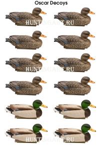 Картинка Чучела уток Oscar Decoys Кряква Магнум 12 шт (8 уток + 4 селезня) от интернет-магазина ХантингАрт Чучела уток Oscar Decoys Кряква Магнум 12 шт (8 уток + 4 селезня) купить в интернет-магазине ХантингАрт