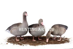 Картинка Комплект 10 шт (6 кормящихся, 2 сторожевых, 2 отдыхающих) сминаемых чучел Серого гуся 3D S-XPE North Way от интернет-магазина ХантингАрт Комплект 10 шт (6 кормящихся, 2 сторожевых, 2 отдыхающих) сминаемых чучел Серого гуся 3D S-XPE North Way купить в интернет-магазине ХантингАрт
