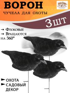 Картинка Чучела ворона от интернет-магазина ХантингАрт Чучела ворона купить в интернет-магазине ХантингАрт