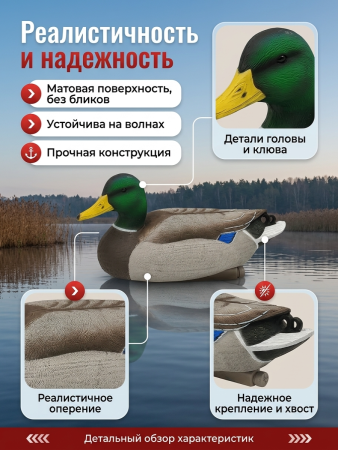 Чучело кряквы селезня, комплект 6шт купить в магазине Хантингарт