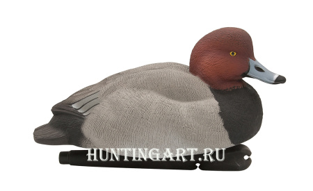 Комплект Avian-X Topflight Readheads из 6 полноразмерных чучел Красноголового нырка купить в магазине Хантингарт