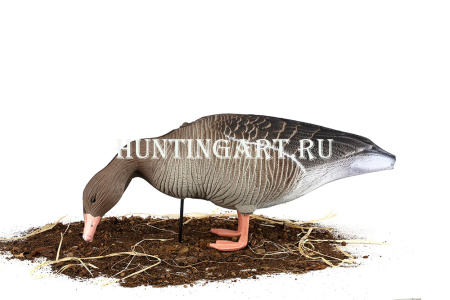 Комплект 10 шт (6 кормящихся, 2 сторожевых, 2 отдыхающих) сминаемых чучел Серого гуся 3D S-XPE North Way купить в интернет-магазине ХантингАрт