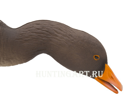 Комплект полнообъемных чучел FA HD fullbody Серого гуся (6 шт.) купить в интернет-магазине ХантингАрт