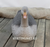 Комплект из 12 полукорпусных муляжей Серого гуся GreenHead купить в интернет-магазине ХантингАрт