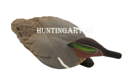 Комплект Avian-X из 6 чучел чирков - Topflight Green-Winged Teal (4 селезня/2 утки) купить в магазине Хантингарт